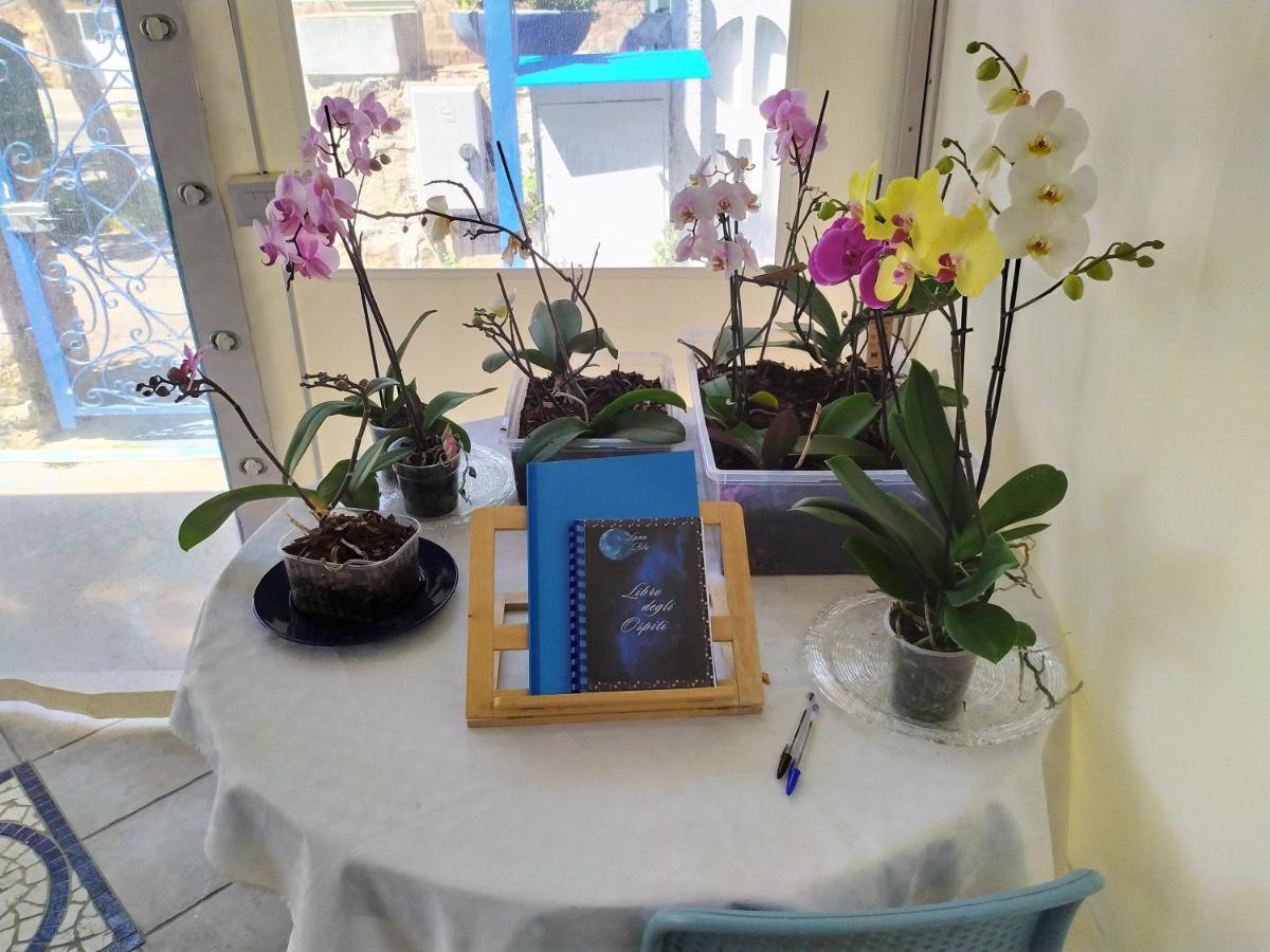 קרבוניה B&B Luna Blu מראה חיצוני תמונה